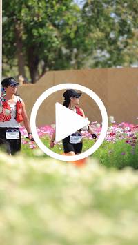 BIB:  <button type="button" onclick="openModal(27585188)" class="btn btn-primary btn-sm float-right" data-toggle="modal" data-target=".modal-high-quality">
                <i class="fa fa-download"></i> Download
                </button>